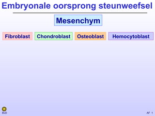 Embryonale oorsprong steunweefsel Mesenchym Fibroblast Chondroblast Osteoblast Hemocytoblast 