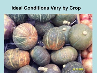 Ideal Conditions Vary by Crop 