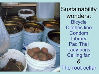 Sustainability wonders: Bicycle Clothes line Condom Library Pad Thai Lady bugs Ceiling fan & The root cellar 