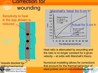 Correction for
          wounding                   Marshall’s ‘ideal’ for 5 cm h-1
                                    2.8
                                    2.6
 Sensitivity to heat                2.4
                                               Wound = 0.30 cm
                                               V = 45 cm h-1
 in the sap stream is               2.2        y = 0.011x + 1.48
                                               r 2 = 0.996
 reduced                                                           Actual for 5 cm h-




                          v 1/v 2
                                     2
                                    1.8                            1
                                                                       Wound = 0.17 cm
                                    1.6
                                                                       V = 5 cm h-1
                                    1.4                                 y = 0.001x + 1.12
                                                                       r 2 = 0.993
                                    1.2
                                     1
 Conductive                               0   10 20 30 40 50 60 70 80 90 100
 xylem                                           Time following heat pulse (s)


                        Heat ratio is attenuated by wounding and
                        the ratio is no longer constant for a given
                        velocity – at odds with Marshall’s theory

Vessels blocked by      Numerical modelling allows for corrections
drilling/mechanical     that account for the thermal behaviour of
damage                  steel probes and of non-conductive wood
 