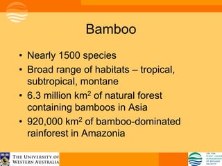 Bamboo
• Nearly 1500 species
• Broad range of habitats – tropical,
  subtropical, montane
• 6.3 million km2 of natural forest
  containing bamboos in Asia
• 920,000 km2 of bamboo-dominated
  rainforest in Amazonia
 