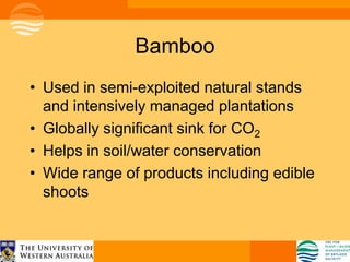 Bamboo
• Used in semi-exploited natural stands
  and intensively managed plantations
• Globally significant sink for CO2
• Helps in soil/water conservation
• Wide range of products including edible
  shoots
 