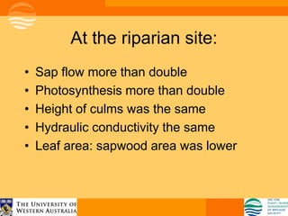 At the riparian site:
•   Sap flow more than double
•   Photosynthesis more than double
•   Height of culms was the same
•   Hydraulic conductivity the same
•   Leaf area: sapwood area was lower
 