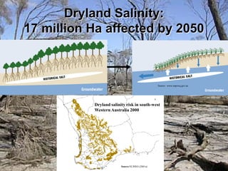 Dryland Salinity:
17 million Ha affected by 2050



                                                Source: www.napswq.gov.au




           Dryland salinity risk in south-west
           Western Australia 2000




                         Source:NLWRA (2001a)
 