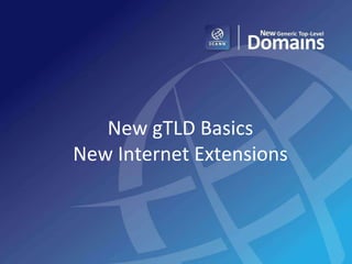 New gTLD Basics New Internet Extensions 