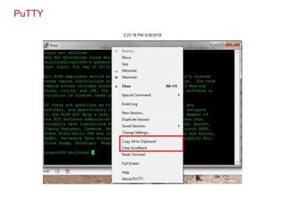 Testing Without a GUI Using TestComplete | PPTX
