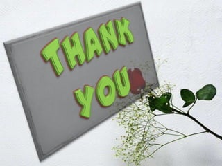 Steve jobs as a contributor