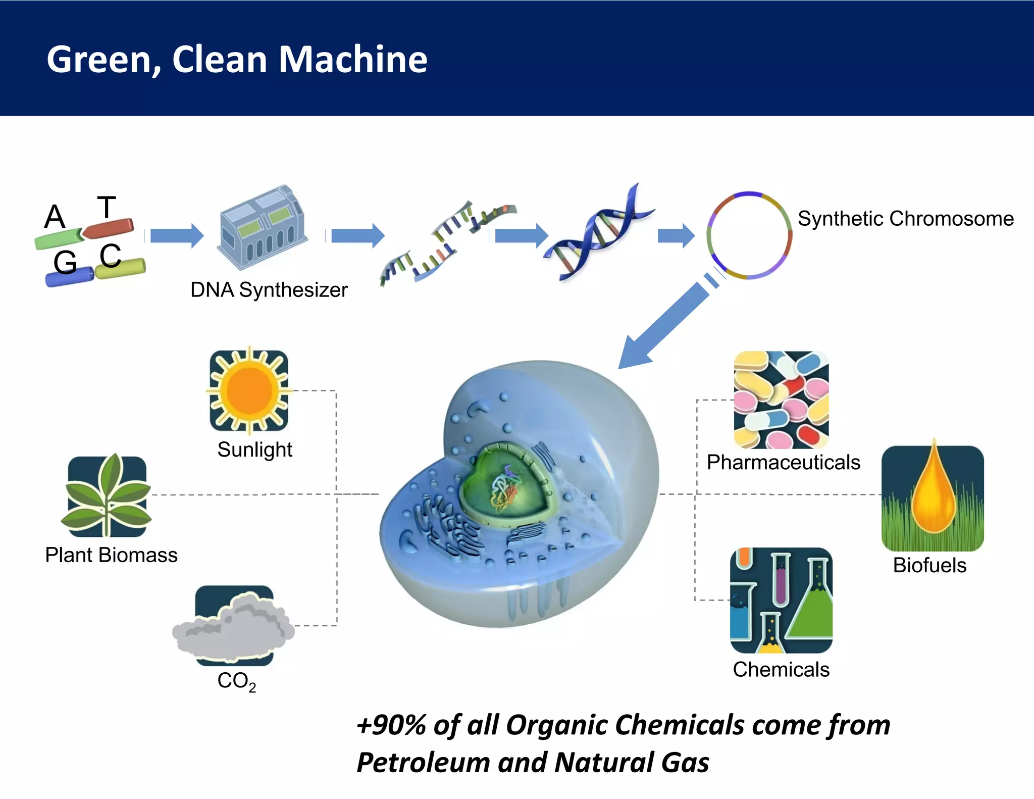 Green, Clean Machine


A T                                                                Synthetic Chromosome

G C
                DNA Synthesizer
                     y




                  Sunlight
                                                           Pharmaceuticals



Plant Biomass                                                                Biofuels



                                                             Chemicals
                  CO2

                                  +90% of all Organic Chemicals come from 
                                  Petroleum and Natural Gas
 