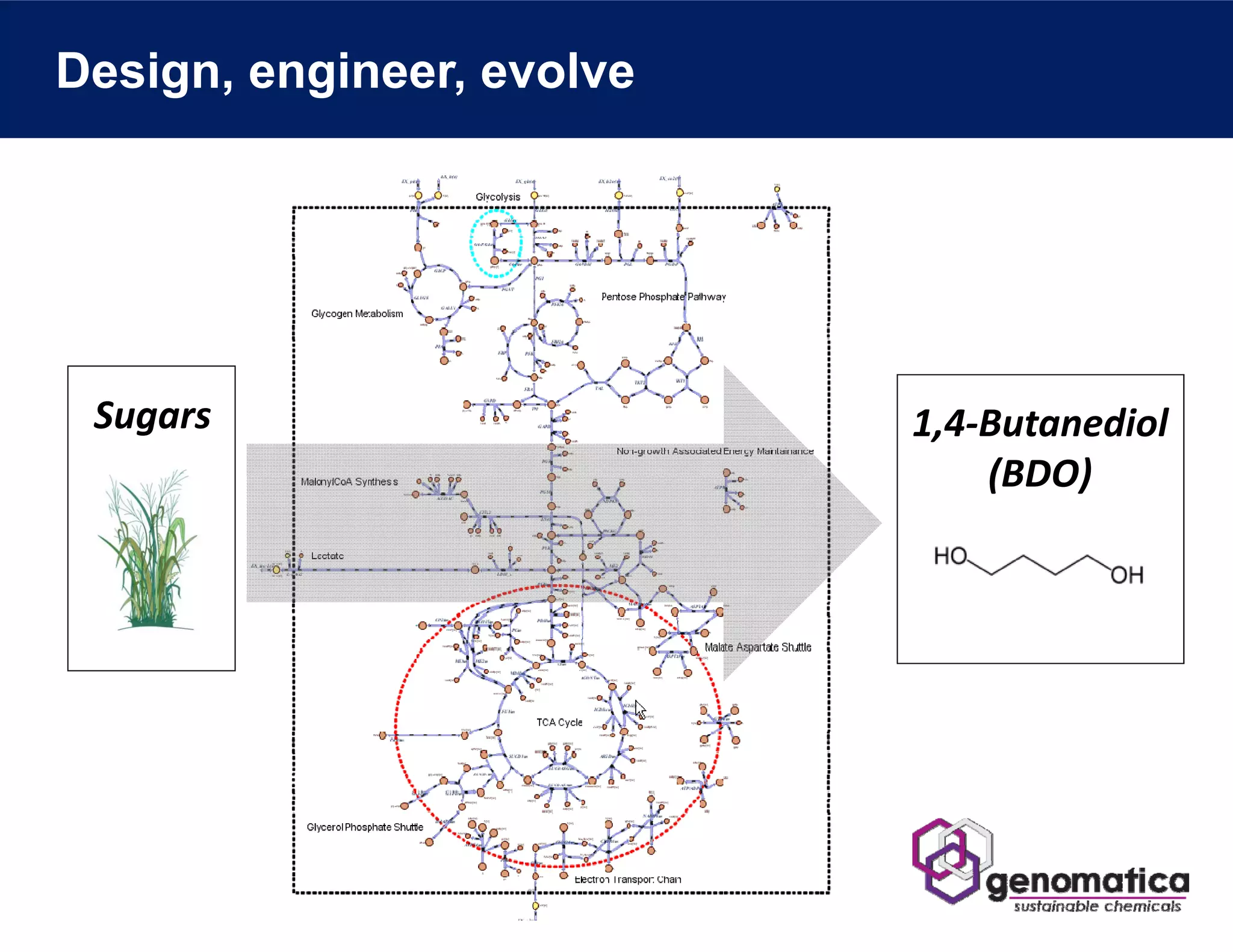 Design, engineer, evolve




 Sugars                    1,4‐Butanediol
                               (BDO)
 