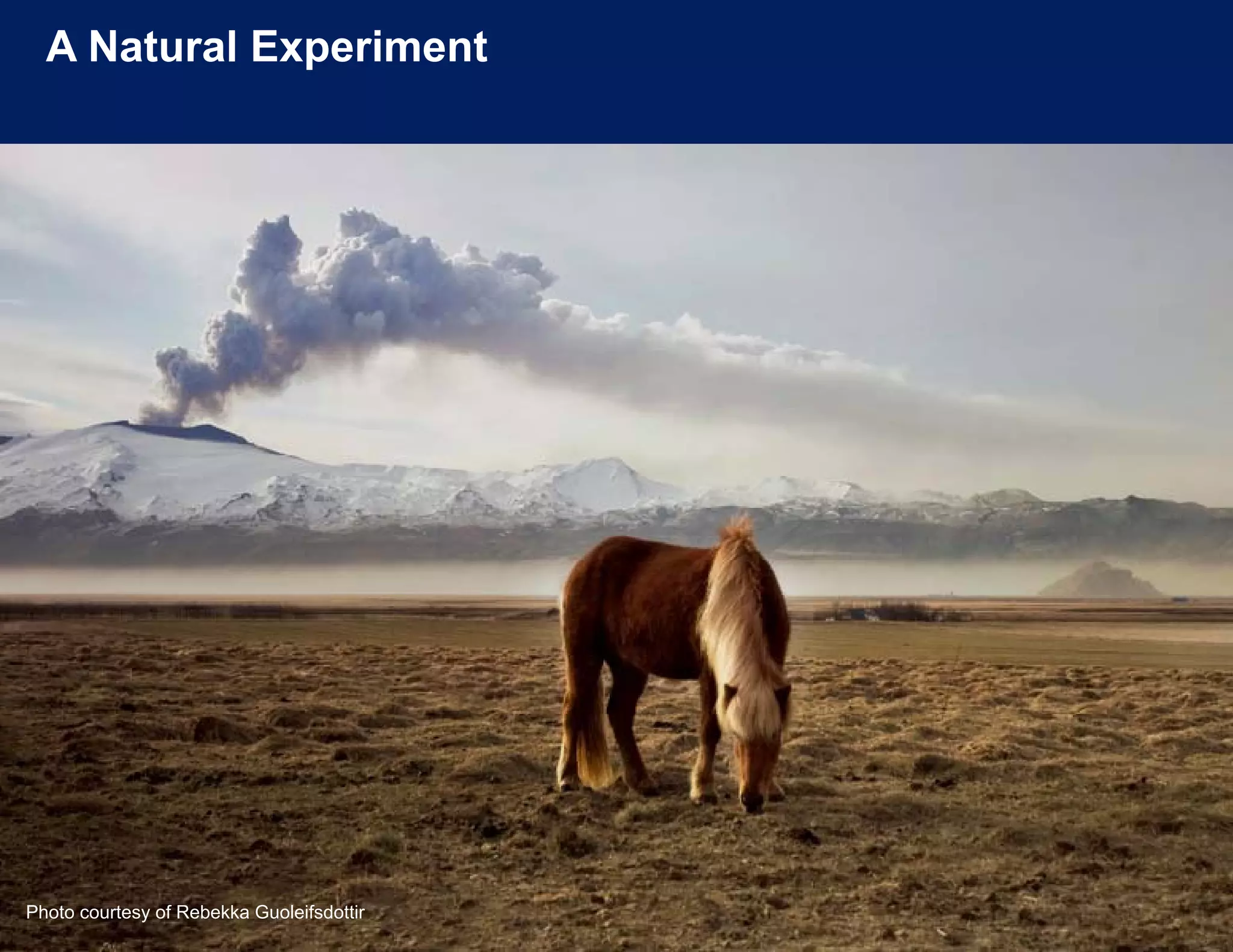 A Natural Experiment




Photo courtesy of Rebekka Guoleifsdottir
 