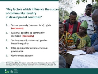 Community forestry. Where and why has devolution of forest rights ...