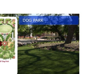 DOG PARK
 