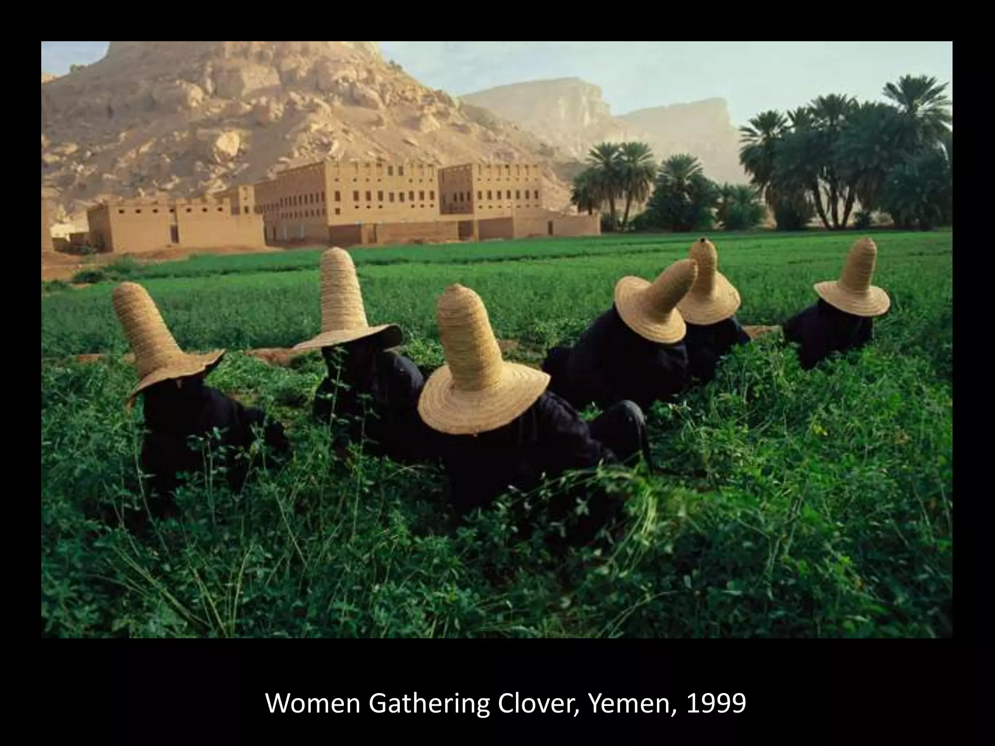 Women Gathering Clover, Yemen, 1999