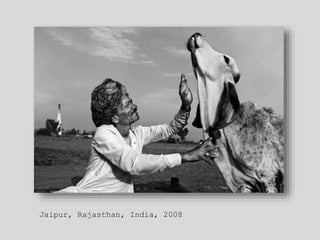 Jaipur, Rajasthan, India, 2008
 