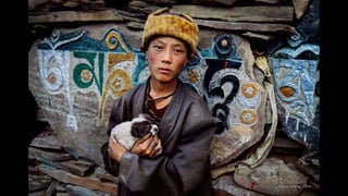 Steve McCurry That Explore The Relationship Between Humans And Animals