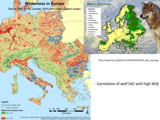 mapping wilderness in Europe  PPT