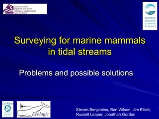 Surveying for marine mammals
       in tidal streams

 Problems and possible solutions



                Steven Benjamins, Ben Wilson, Jim Elliott,
                Russell Leaper, Jonathan Gordon
 