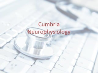 Cumbria
Neurophysiology
 