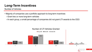 19
• Majority of companies use a portfolio approach to long-term incentives
–Grant two or more long-term vehicles
–In each group, a small percentage of companies did not grant LTI awards to the CEO
Long-Term Incentives
Number of Vehicles
15%
57%
25%
4%22%
51%
25%
2%18%
62%
16% 5%
1 2 3+ 0
Number of LTI Vehicles Granted
Top 200 Mid 200 Small 200
 