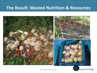 The Result: Wasted Nutrition & Resources

www.responsecology.com

 