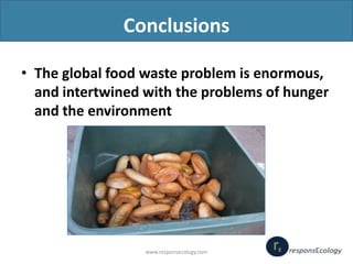 Valuing Our Food: Minimizing Waste and Optimizing Resources - The Scope of the Global Food Waste Problem