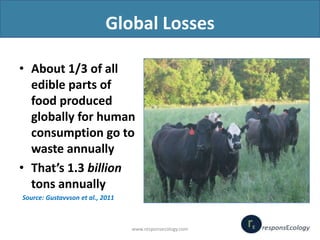 Global Losses
• About 1/3 of all
edible parts of
food produced
globally for human
consumption go to
waste annually
• That’...