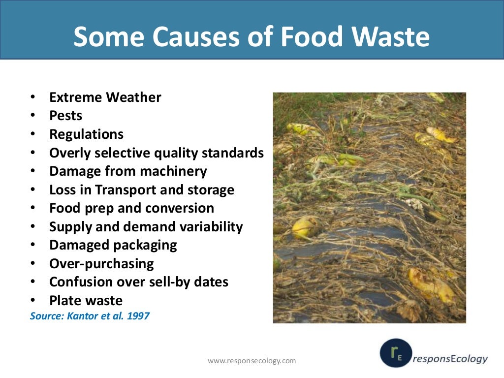 Valuing Our Food Minimizing Waste and Optimizing Resources The Sco…