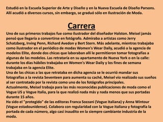 Estudió en la Escuela Superior de Arte y Diseño y en la Nueva Escuela de Diseño Parsons. Allí acudió a diversos cursos, sin embargo, se graduó sólo en Ilustración de Moda. CarreraUno de sus primeros trabajos fue como ilustrador del diseñador Halston. Meisel jamás pensó que llegaría a convertirse en fotógrafo. Admiraba a artistas como Jerry Schatzberg, Irving Penn, Richard Avedon y Bert Stern. Más adelante, mientras trabajaba como ilustrador en el periódico de modas Women's Wear Daily, acudió a la agencia de modelos Elite, donde dos chicas que laboraban allí le permitieron tomar fotografías a algunas de las modelos. Las retrataría en su apartamento de Nueva York o en la calle: durante los días hábiles trabajaba en Women's Wear Daily y los fines de semana trabajaba en la agencia Elite.Una de las chicas a las que retrataba en dicha agencia se le ocurrió mandar sus fotografias a la revista Seventeen para aumenta su caché, Meisel vio realizado sus sueños al ser contratado por la revista como uno de los fotógrafos principales.Actualmente, Meisel trabaja para las más reconocidas publicaciones de moda como el Vogue US y Vogue Italia, para la que realizó nada más y nada menos que sus portadas durante 15 años. Ha sido el "protegido" de las editoras Franca Sozzani (Vogue italiana) y Anna Wintour (Vogue estadounidense). Colabora con regularidad con la Vogue italiana y fotografía la portada de cada número, algo casi inaudito en la siempre cambiante industria de la moda. 