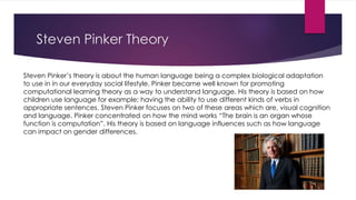 Steven Pinker Theory 
Steven Pinker’s theory is about the human language being a complex biological adaptation 
to use in in our everyday social lifestyle. Pinker became well known for promoting 
computational learning theory as a way to understand language. His theory is based on how 
children use language for example; having the ability to use different kinds of verbs in 
appropriate sentences. Steven Pinker focuses on two of these areas which are, visual cognition 
and language. Pinker concentrated on how the mind works “The brain is an organ whose 
function is computation”. His theory is based on language influences such as how language 
can impact on gender differences. 
 