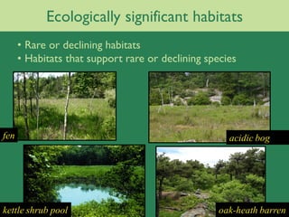 Ecologically significant habitats
      • Rare or declining habitats
      • Habitats that support rare or declining species




fen                                                  acidic bog




kettle shrub pool                                  oak-heath barren
 