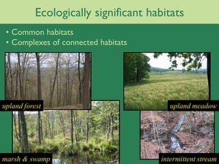 Ecologically significant habitats
 • Common habitats
 • Complexes of connected habitats




upland forest                            upland meadow




marsh & swamp                         intermittent stream
 