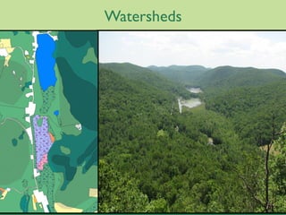 Watersheds




N
 