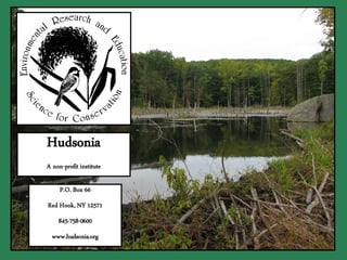 Hudsonia
A non-profit institute

     P.O. Box 66
Red Hook, NY 12571
    845-758-0600
  www.hudsonia.org
 