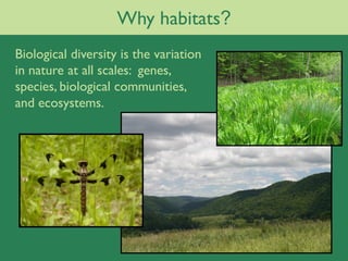 Why habitats?
Biological diversity is the variation
in nature at all scales: genes,
species, biological communities,
and ecosystems.
 