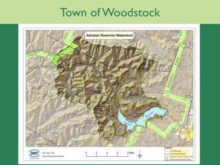 Town of Woodstock
 