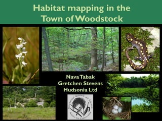 Habitat mapping in the
 Town of Woodstock




       Nava Tabak
     Gretchen Stevens
      Hudsonia Ltd
 