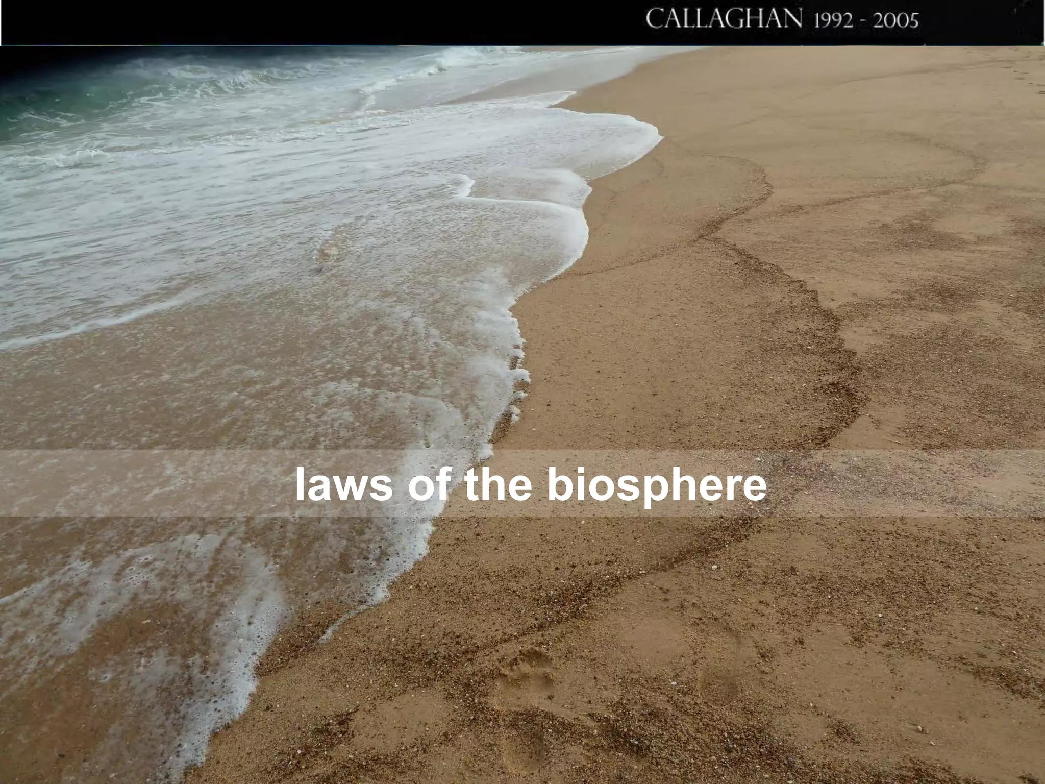 laws of the biosphere

 