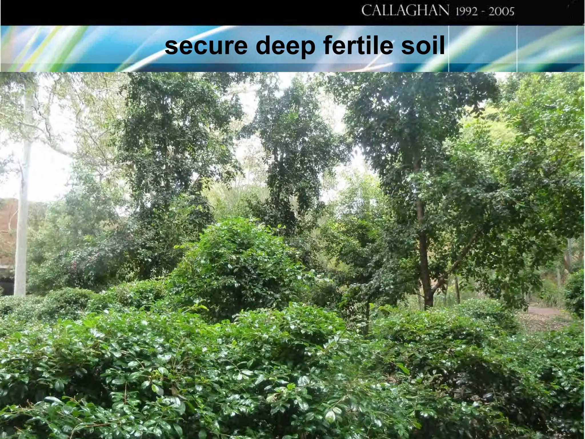 secure deep fertile soil

 