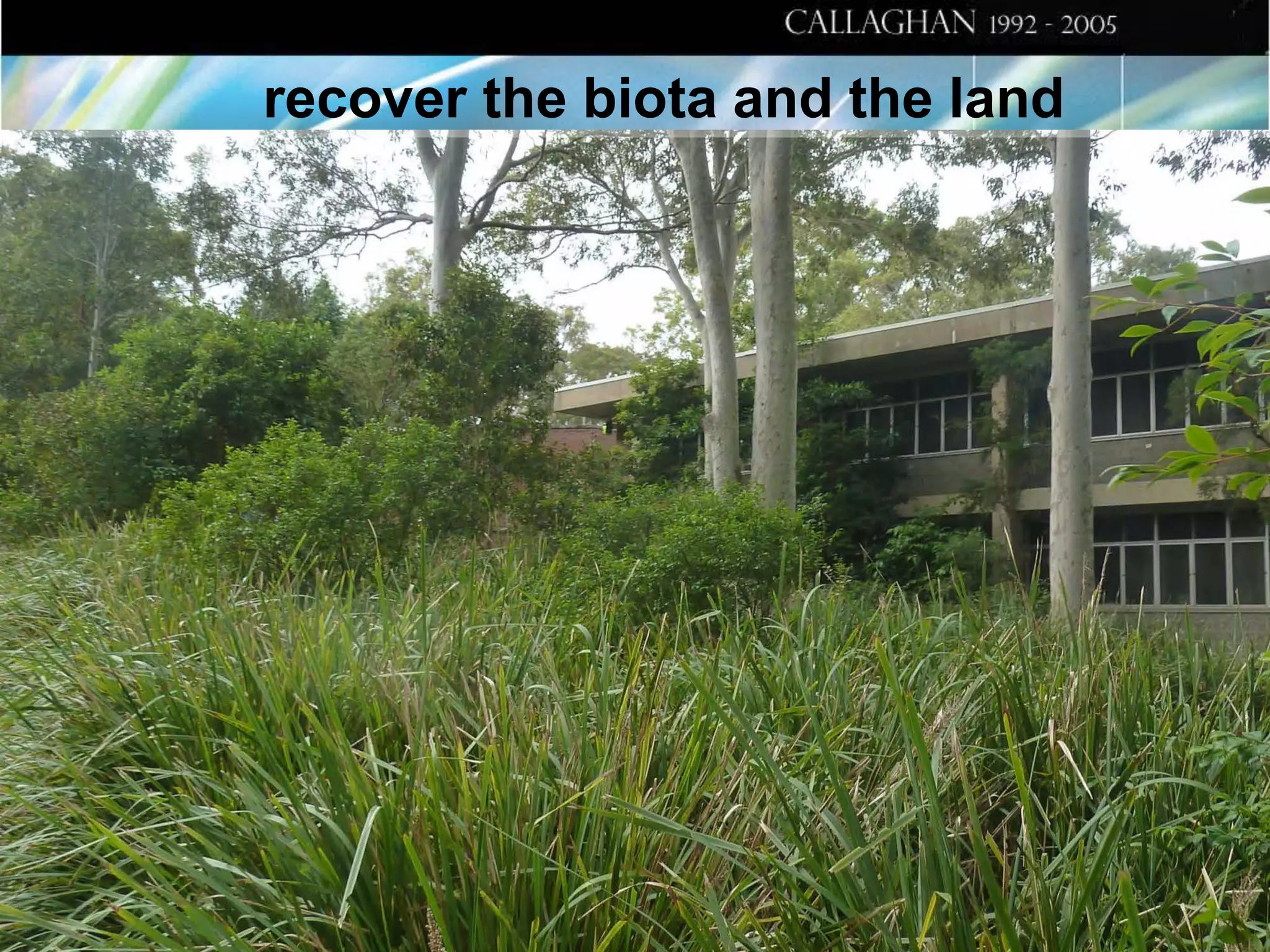 recover the biota and the land

 