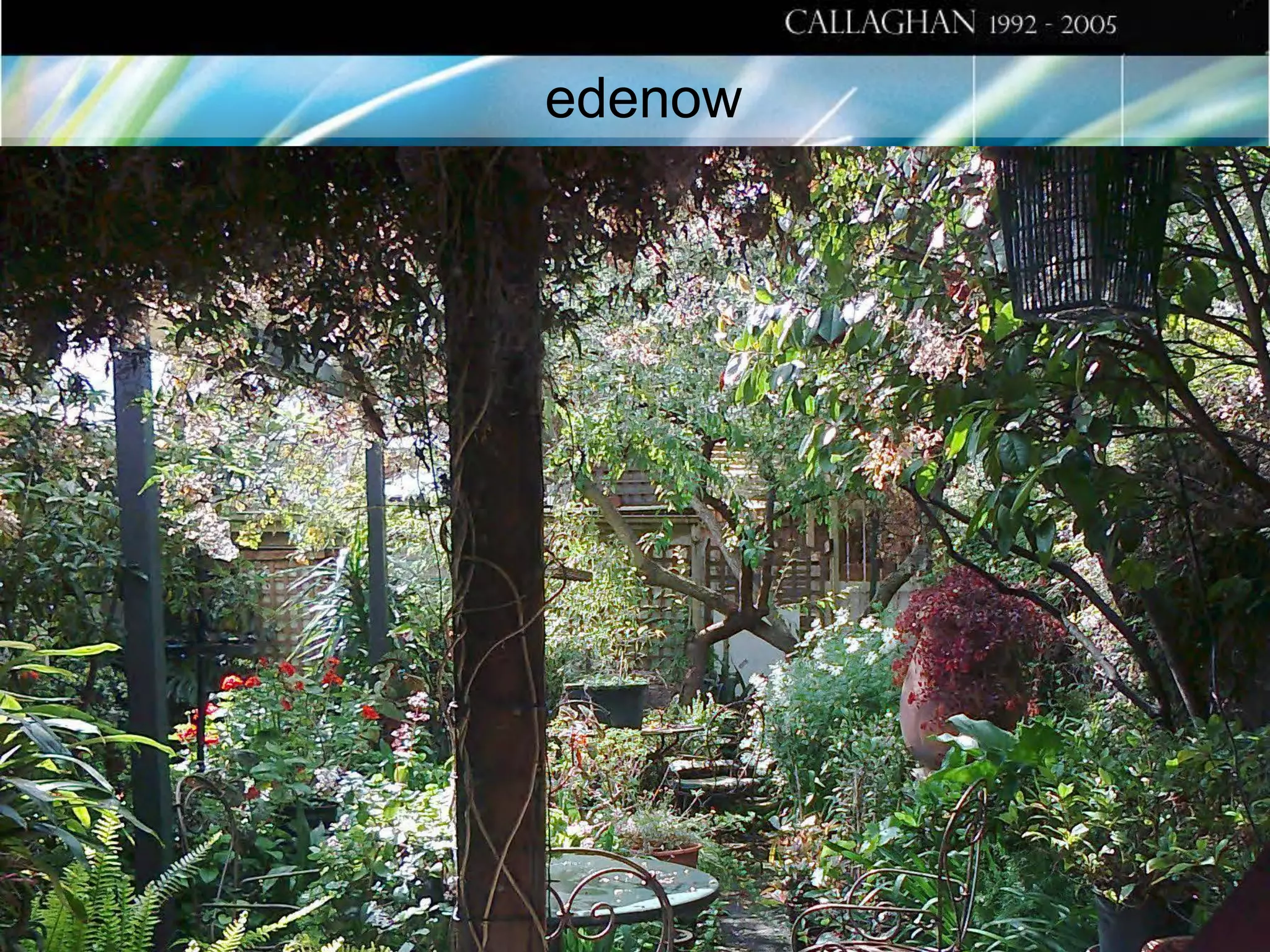 edenow

 