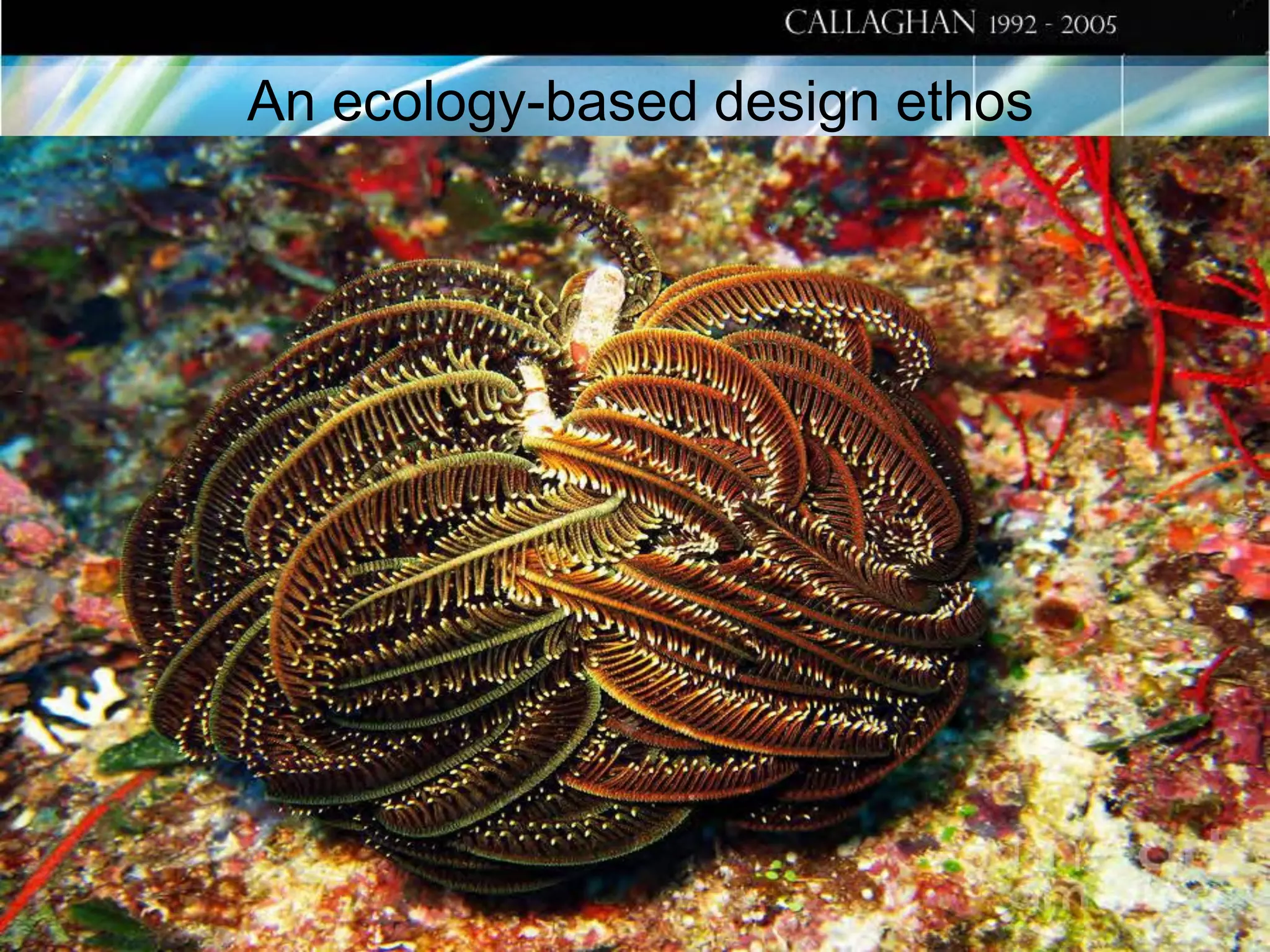 An ecology-based design ethos

 