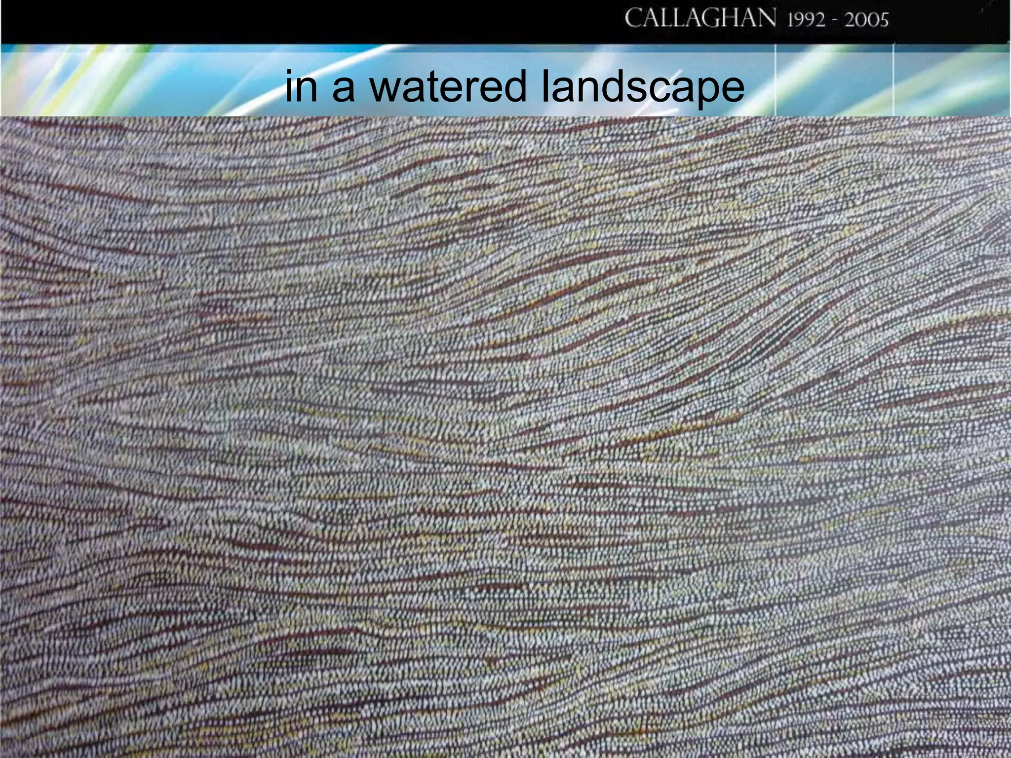 in a watered landscape

 