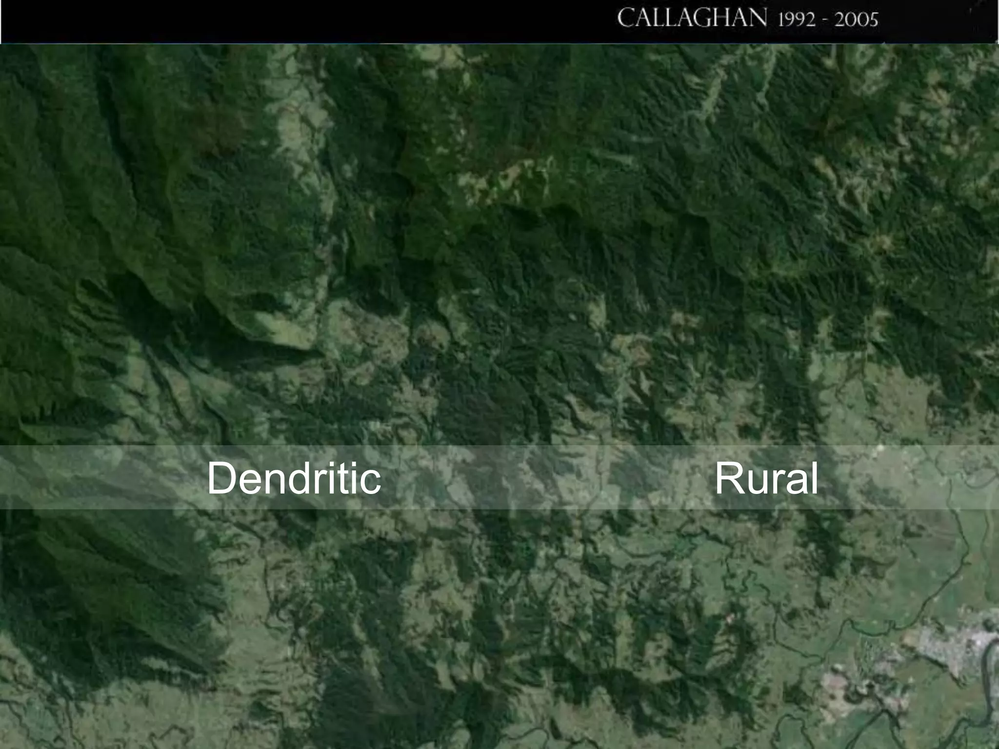 Dendritic

Rural

 