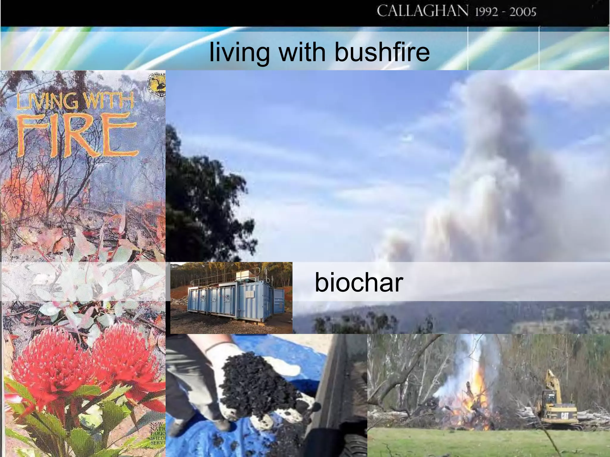 living with bushfire

biochar

 
