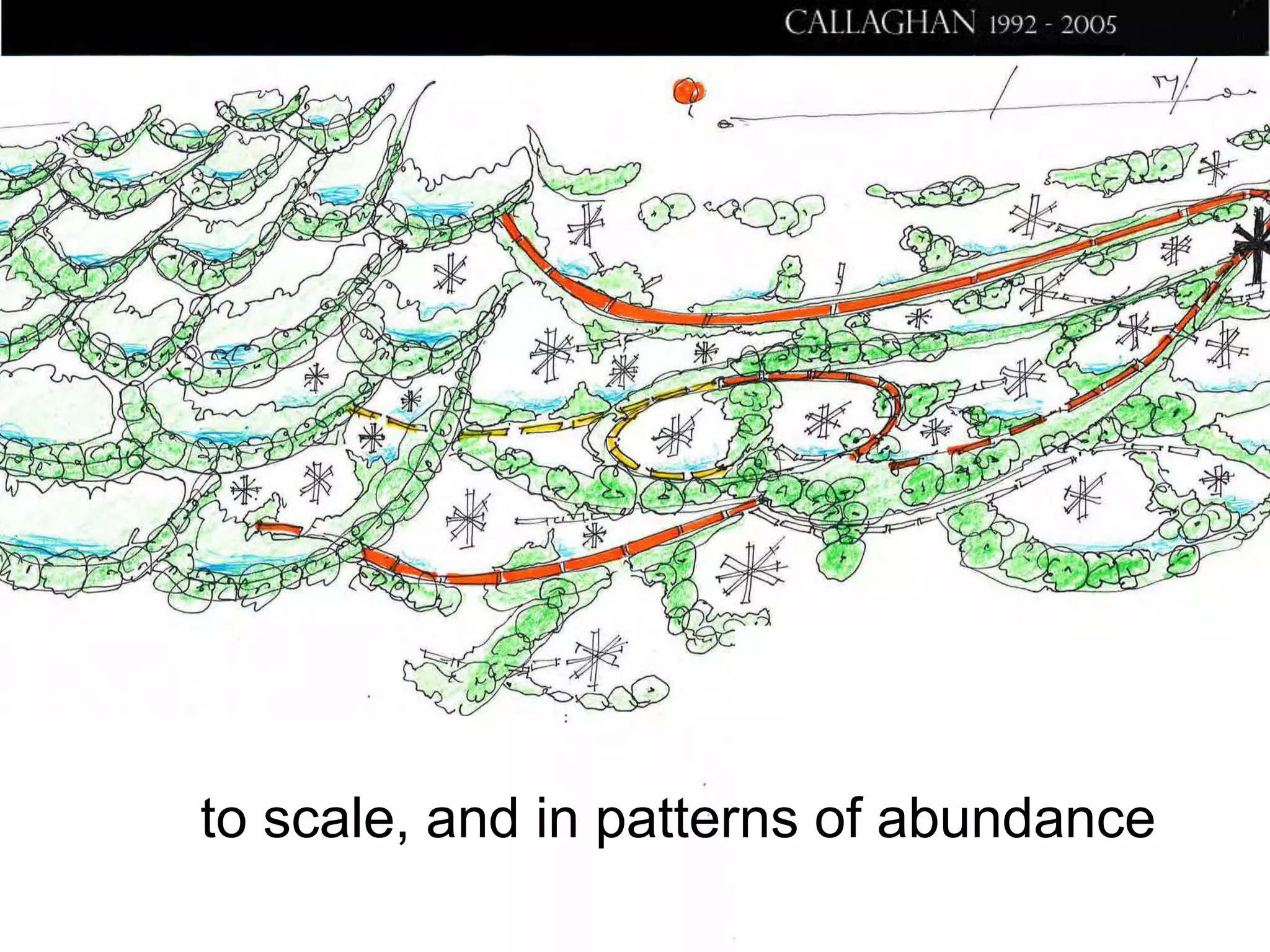 to scale, and in patterns of abundance

 