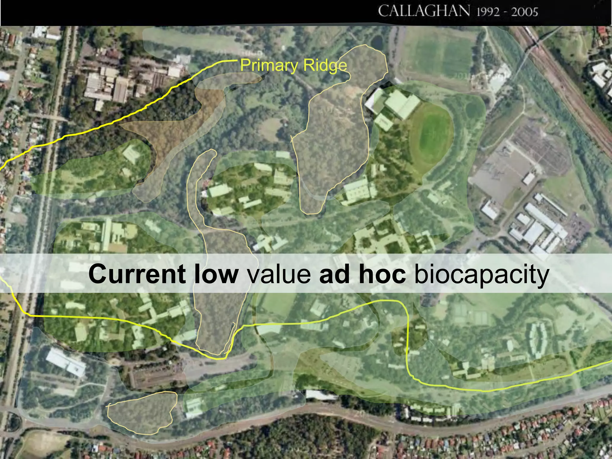 Primary Ridge

Current low value ad hoc biocapacity

 