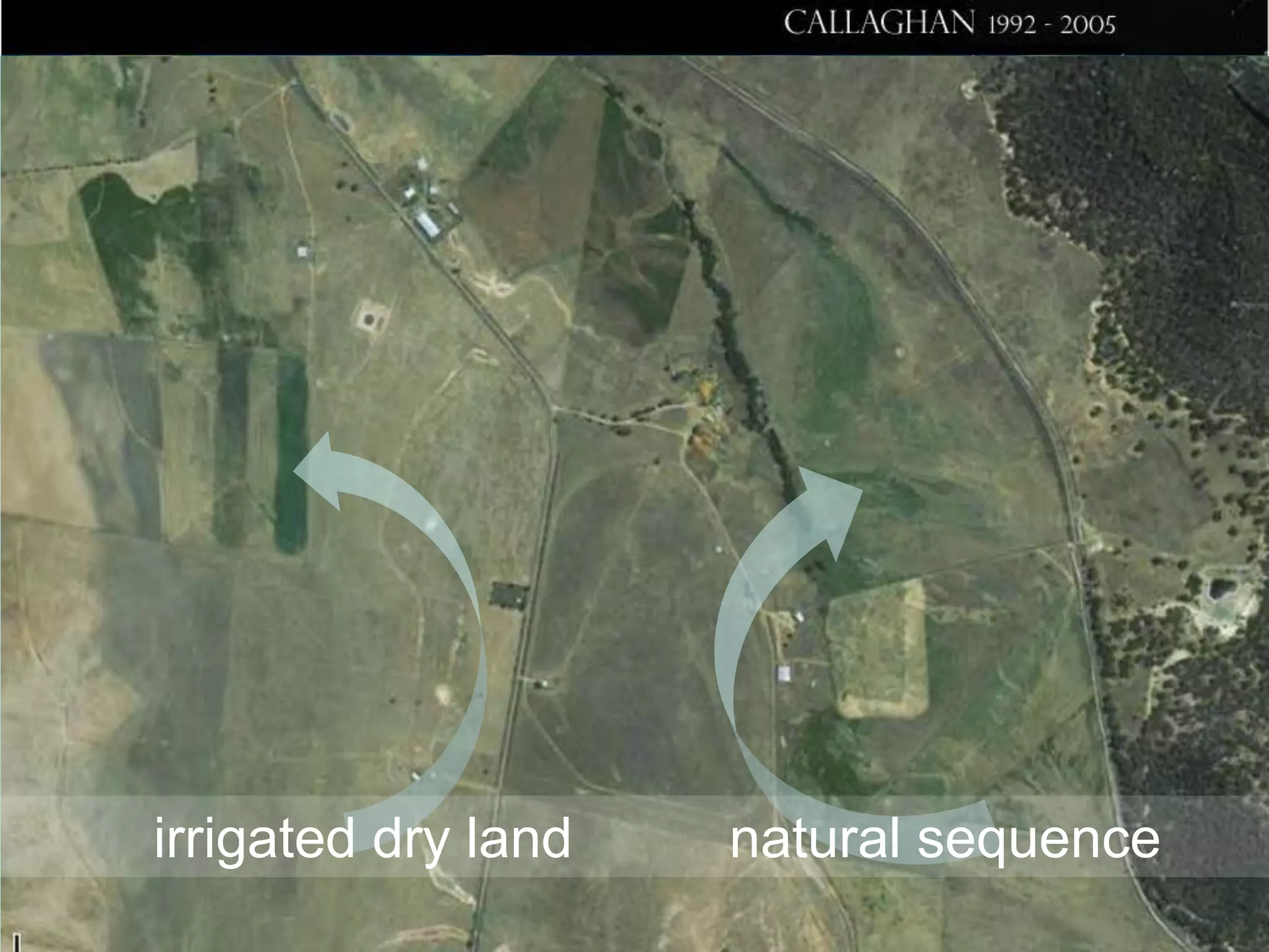 irrigated dry land

natural sequence

 