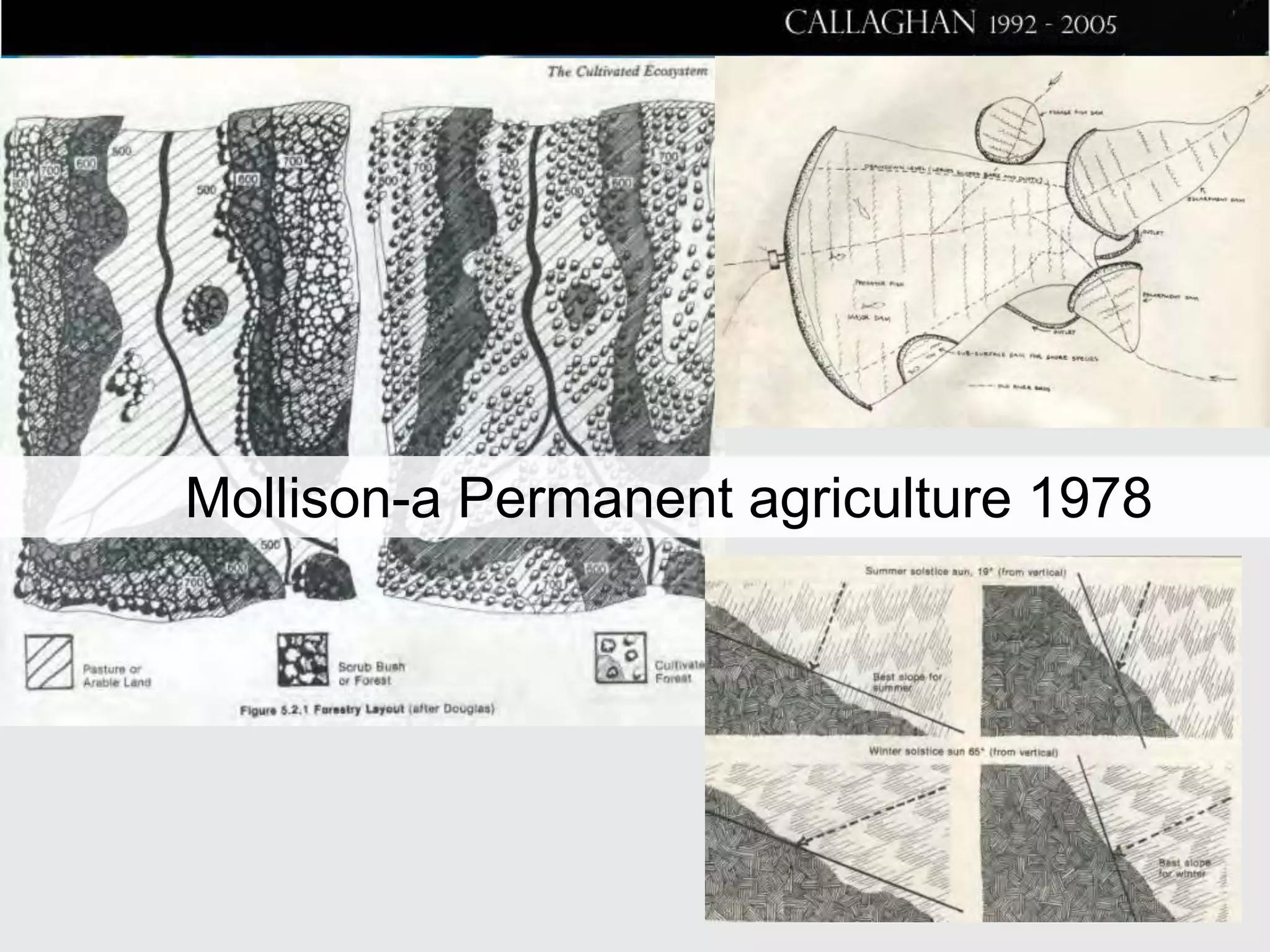 Mollison-a Permanent agriculture 1978

 
