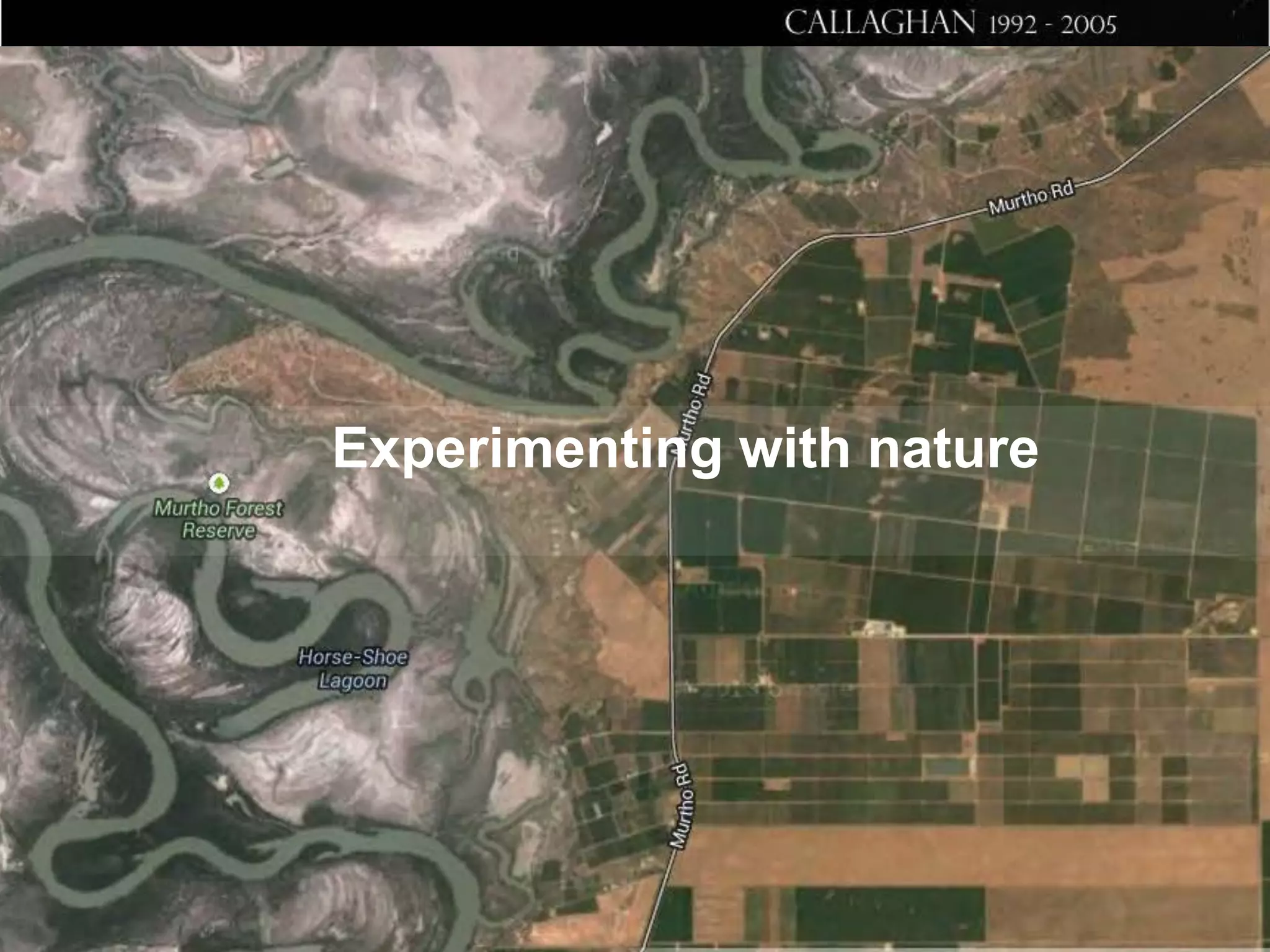 Experimenting with nature

 