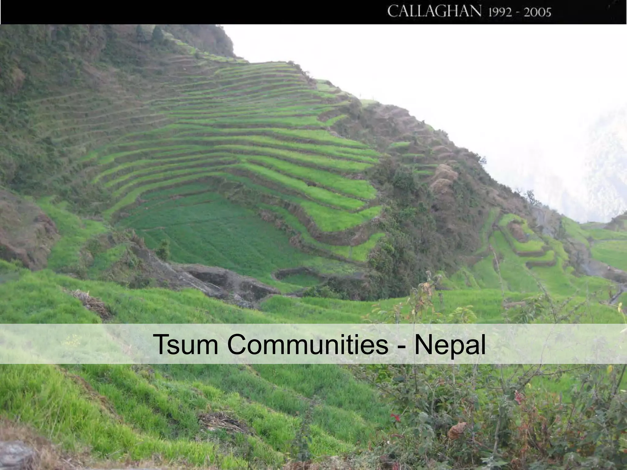 Tsum Communities - Nepal

 
